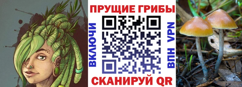 kraken сайт  Шиханы  Галлюциногенные грибы MAGIC MUSHROOMS 